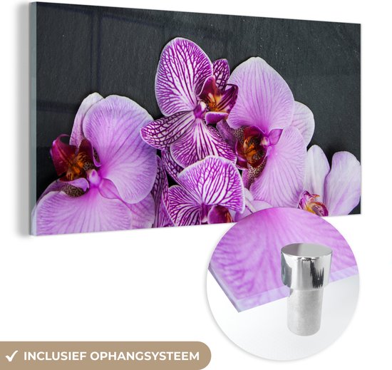 MuchoWow® Glasschilderij 40x20 cm - Schilderij acrylglas - Orchidee - Bloemen - Roze - Flora - Foto op glas - Schilderijen
