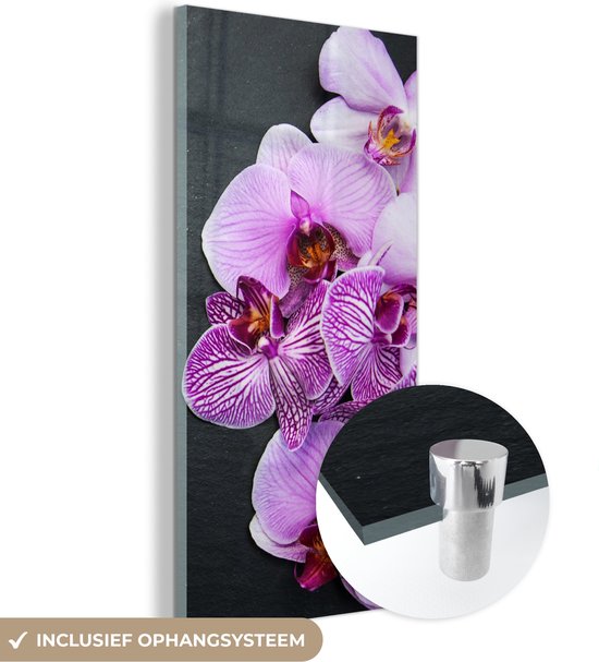 MuchoWow® Glasschilderij 20x40 cm - Schilderij acrylglas - Orchidee - Bloemen - Roze - Flora - Foto op glas - Schilderijen