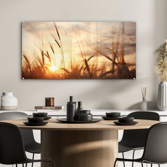 MuchoWow - Peinture sur verre - Photo sur verre - Roseau - Herbe - Soleil - Nature - 80x40 cm - Image sur verre - Décoration murale - Peinture nature - Verre acrylique