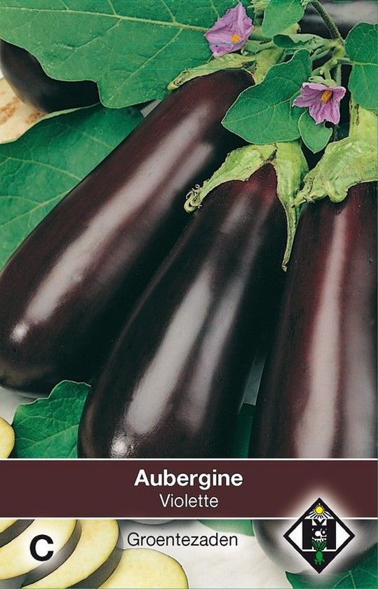 Van Hemert Aubergine Violette bol