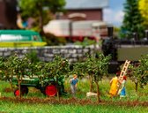 Faller - 10 small apple trees - FA181359 - modelbouwsets, hobbybouwspeelgoed voor kinderen, modelverf en accessoires
