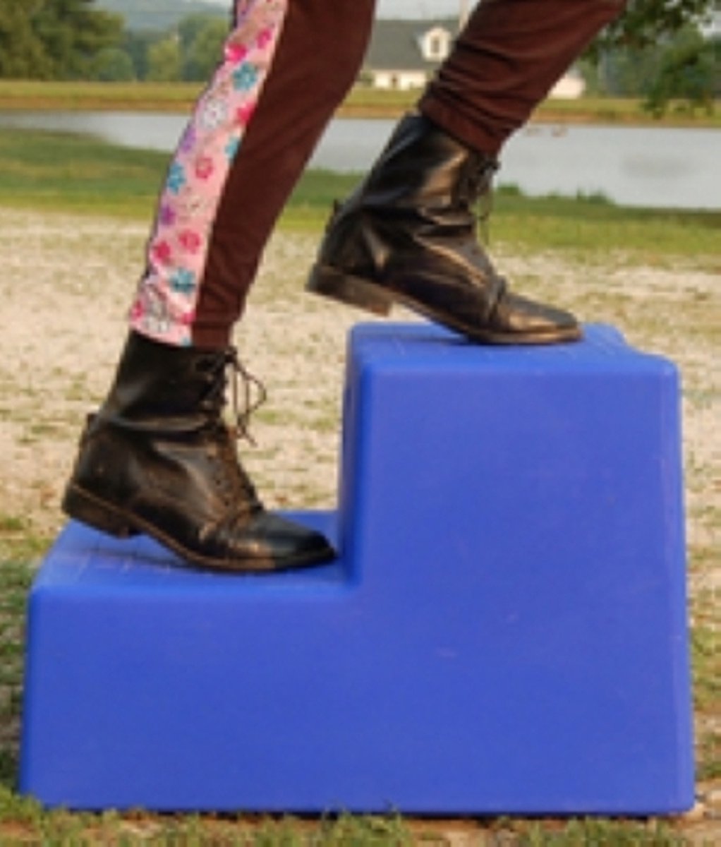 Excellent opstap hulp 2 treden – Trapje – Opstapje volwassenen - Paard ...