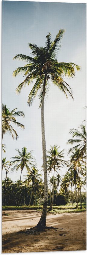 WallClassics - Vlag - Park met Hoge Palmbomen - 30x90 cm Foto op Polyester Vlag