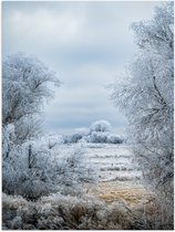 WallClassics - Poster brillant – Prairie enneigée - 30 x 40 cm Photo sur papier poster avec finition brillante