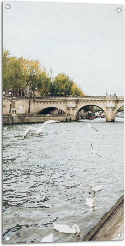 Tuinposter – Brug aan het Water met Zwanen - 50x100 cm Foto op Tuinposter (wanddecoratie voor buiten en binnen)