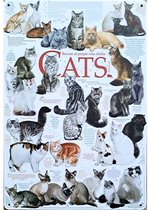 Metalen wandbord Cats katten kat - 20 x 30 cm