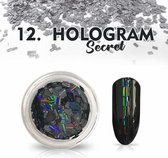 DRM Nagelpoeder Hologram Secret #12