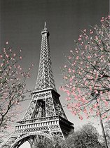 Diamond painting afmeting 50x 70cm - Eiffeltoren Parijs