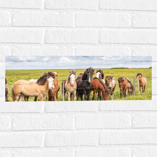 Muursticker - Kudde IJslander Paarden in Groene Wei onder Schapenwolken - 60x20 cm Foto op Muursticker