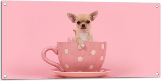 Tuinposter – Kleine Beige Chihuahua Hond in Roze Theekop op Roze Achtergrond - 100x50 cm Foto op Tuinposter (wanddecoratie voor buiten en binnen)