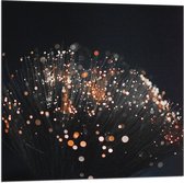 Vlag - Takken met Oranje Lichtjes aan de Bovenkant - 80x80 cm Foto op Polyester Vlag