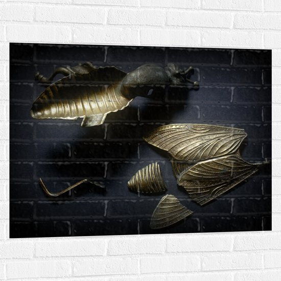 Muursticker - Kapotte Goude Vlieg op Zwarte Achtergornd - 100x75 cm Foto op Muursticker