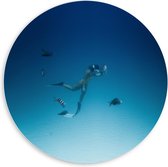 WallClassics - PVC Schuimplaat Muurcirkel - Duiker Zwemmend met Vissen op Zeebodem - 60x60 cm Foto op Muurcirkel (met ophangsysteem)