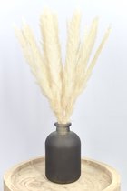 Fluffy Pampas Wit - Fleurs séchées - Plumes de pampa - 50 cm - Natuurlijk Bloemen