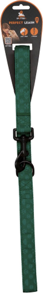Groene Hondenriem: De 13 beste Groene Hondenriemen van 2024! 18 Spotted! PRO hondenlijn – Hondenriem – Muskaton sluiting – Extra D-ring – Waterproof – 120 cm – Groen