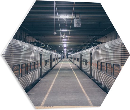 PVC Schuimplaat Hexagon - Trein Station met twee Stilstaande Treinen - 50x43.5 cm Foto op Hexagon (Met Ophangsysteem)