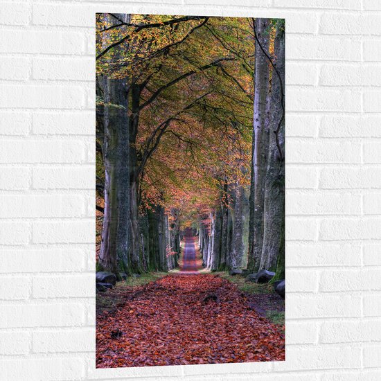 WallClassics - Muursticker - Pad in Bos tijdens de Herfst - 50x100 cm Foto op Muursticker