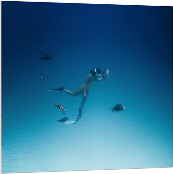 WallClassics - Acrylglas - Duiker Zwemmend met Vissen op Zeebodem - 100x100 cm Foto op Acrylglas (Wanddecoratie op Acrylaat)