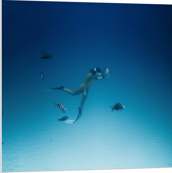 WallClassics - Panneau en mousse PVC – Plongeur nageant avec des Pêche sur le fond marin – Photo 80 x 80 cm sur panneau en mousse PVC