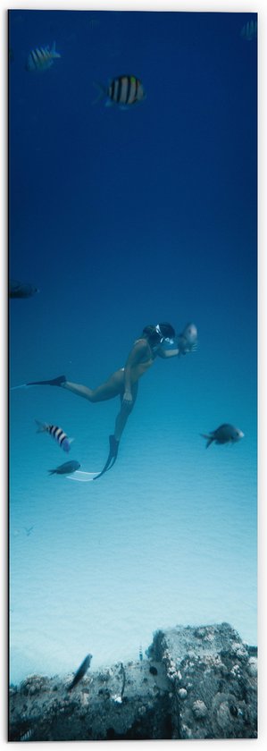 WallClassics - Dibond - Duiker Zwemmend met Vissen op Zeebodem - 50x150 cm Foto op Aluminium (Met Ophangsysteem)