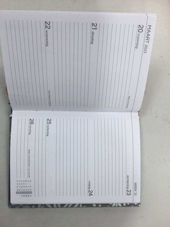 Bruna agenda bol