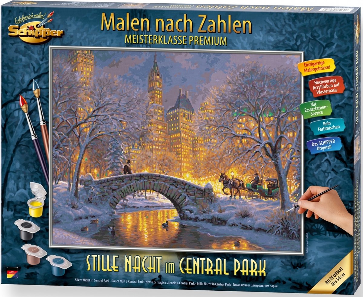 Malen nach Zahlen - Stille Nacht im Central Park