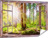 Gards Tuinposter Doorkijk Bos met Zon tussen de Bomen - 120x80 cm - Tuindoek - Tuindecoratie - Wanddecoratie buiten - Tuinschilderij