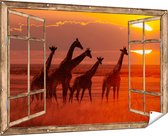 Gards Tuinposter Doorkijk Giraffe Kudde bij Zonsondergang - 180x120 cm - Tuindoek - Tuindecoratie - Wanddecoratie buiten - Tuinschilderij