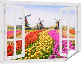 Gards Affiche de jardin Champ de fleurs colorées avec un moulin à vent -  160x120 cm 