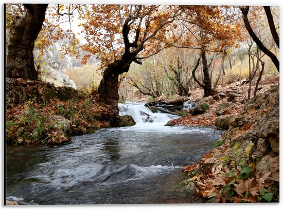 Dibond - Waterval door Herstbossen - 40x30 cm Foto op Aluminium (Wanddecoratie van metaal)