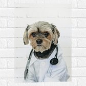 Muursticker - Hond Verkleed als Dokter - 40x60 cm Foto op Muursticker