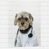 Muursticker - Hond Verkleed als Dokter - 50x75 cm Foto op Muursticker