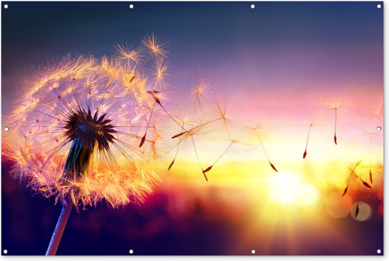 Décoration murale Pissenlit - Fleurs - Coucher de soleil - Horizon - Nuit - 180x120 cm - Poster jardin - Toile jardin - Poster extérieur