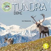 Biomes on Planet Earth - Tundra Biome