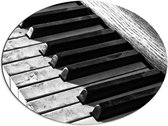 Dibond Ovaal - Toetsen van een Oude Veroeste Piano - 80x60 cm Foto op Ovaal (Met Ophangsysteem)