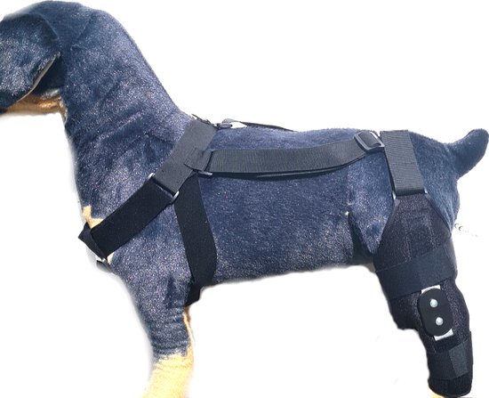Coodeo Hond Hef Harnas, Volledige Lichaamsondersteuning Achterbeen Ondersteuning Opklimmen Coodeo Hond Hef Harnas, Volledige Lichaamsondersteuning Achterbeen Ondersteuning Opklimmen