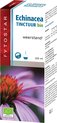 Fytostar Echinacea Tinctuur - Supplement - Weerstand – Vegan plantendruppels met echinacea – 100 ml