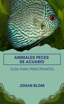 Peces de acuario: Guía para principiantes
