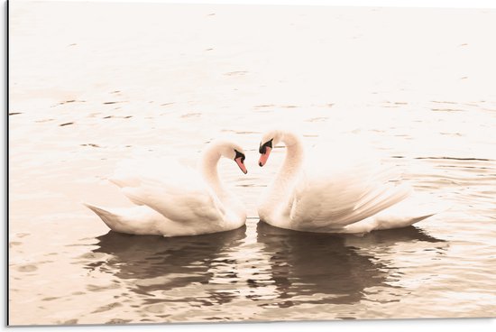 Twee witte zwanen vormen een hart met hun nekken in zacht, sepia-getint water.