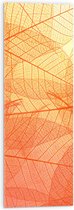 Acrylglas - Oranje Doorschijnende Blaadjes - 30x90 cm Foto op Acrylglas (Wanddecoratie op Acrylaat)