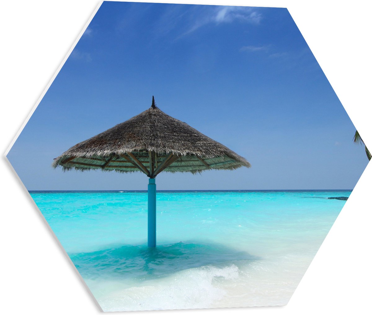 PVC Schuimplaat Hexagon - Rieten Parasol op het Strand bij het Blauwe Water - 50x43.5 cm F