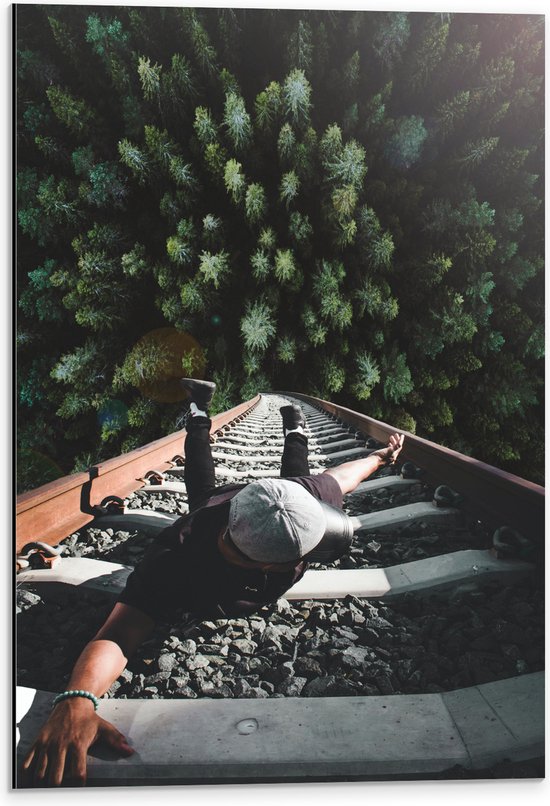 Dibond - Man Hangend aan Spoor boven de Bomen - 40x60 cm Foto op Aluminium (Met Ophangsysteem)