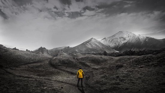 Eiland van de verloren meisjes (ebook), Alex Marwood | 9789402320565