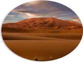 PVC Schuimplaat Ovaal - Woestijn met Zandbergeen - 56x42 cm Foto op Ovaal (Met Ophangsysteem)