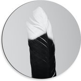 Dibond Muurcirkel - Zwart met Witte Veer tegen Grijze Achtergrond - 50x50 cm Foto op Aluminium Muurcirkel (met ophangsysteem)