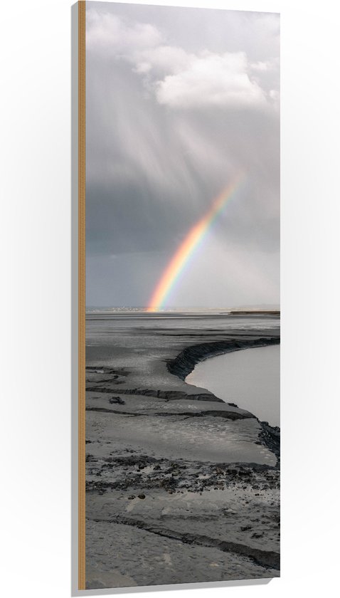 Hout - Regenboog bij Dondere Lucht - 50x150 cm - 9 mm dik - Foto op Hout (Met Ophangsysteem)