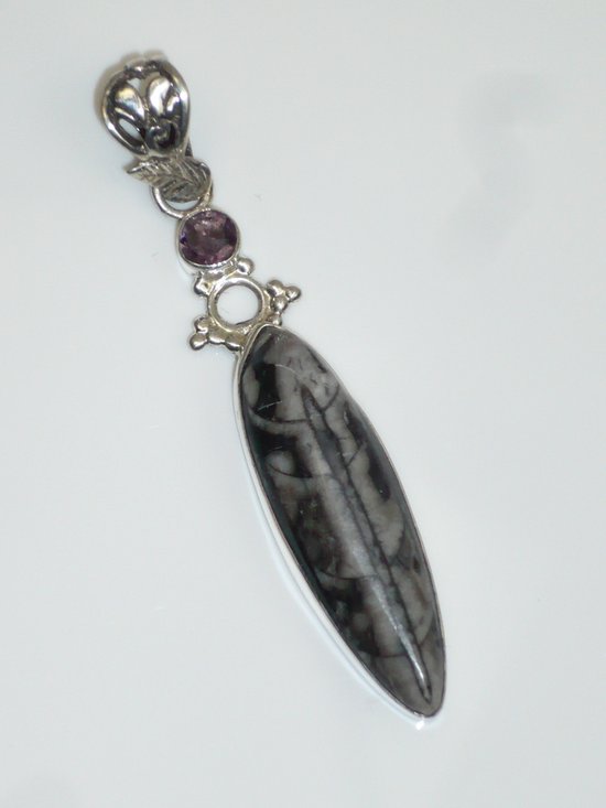 Zilveren hanger met orthoceras fossiel