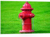 PVC Schuimplaat- Rode Brandweerpaal in Groen Gras - 75x50 cm Foto op PVC Schuimplaat