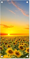 Tuinposter bloemen - Tuindecoratie zonnebloem geel - 30x60 cm - Tuinschilderij voor buiten - Tuindoek zonsondergang - Wanddecoratie - Schuttingdoek natuur - Balkon decoratie - Muurdecoratie bloemenveld - Buitenschilderijen voor in de tuin