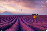 Tuinposter lavendel - Bloemen - Luchtballon - Paars - Landschap - Tuindecoratie - Tuinschilderij voor buiten - 90x60 cm - Schutting decoratie - Schuttingdoek - Tuin - Tuindoek - Buitenposter